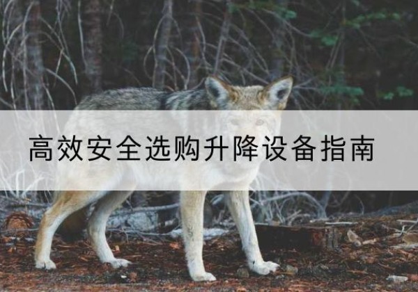镶黄旗升降货梯厂家推荐-*安全选购升降设备指南