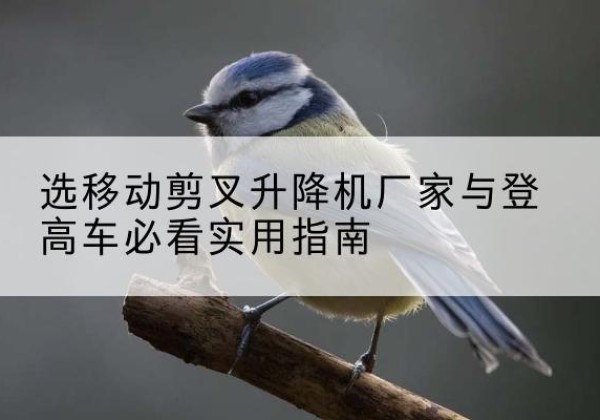 镶黄旗电动升降机厂家-选移动剪叉升降机厂家与登高车必看实用指南